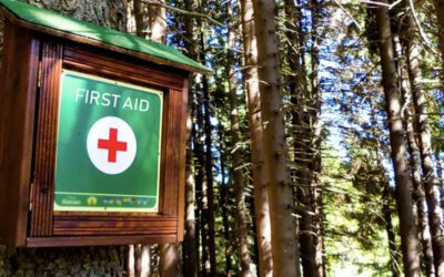 Wilderness First Aid